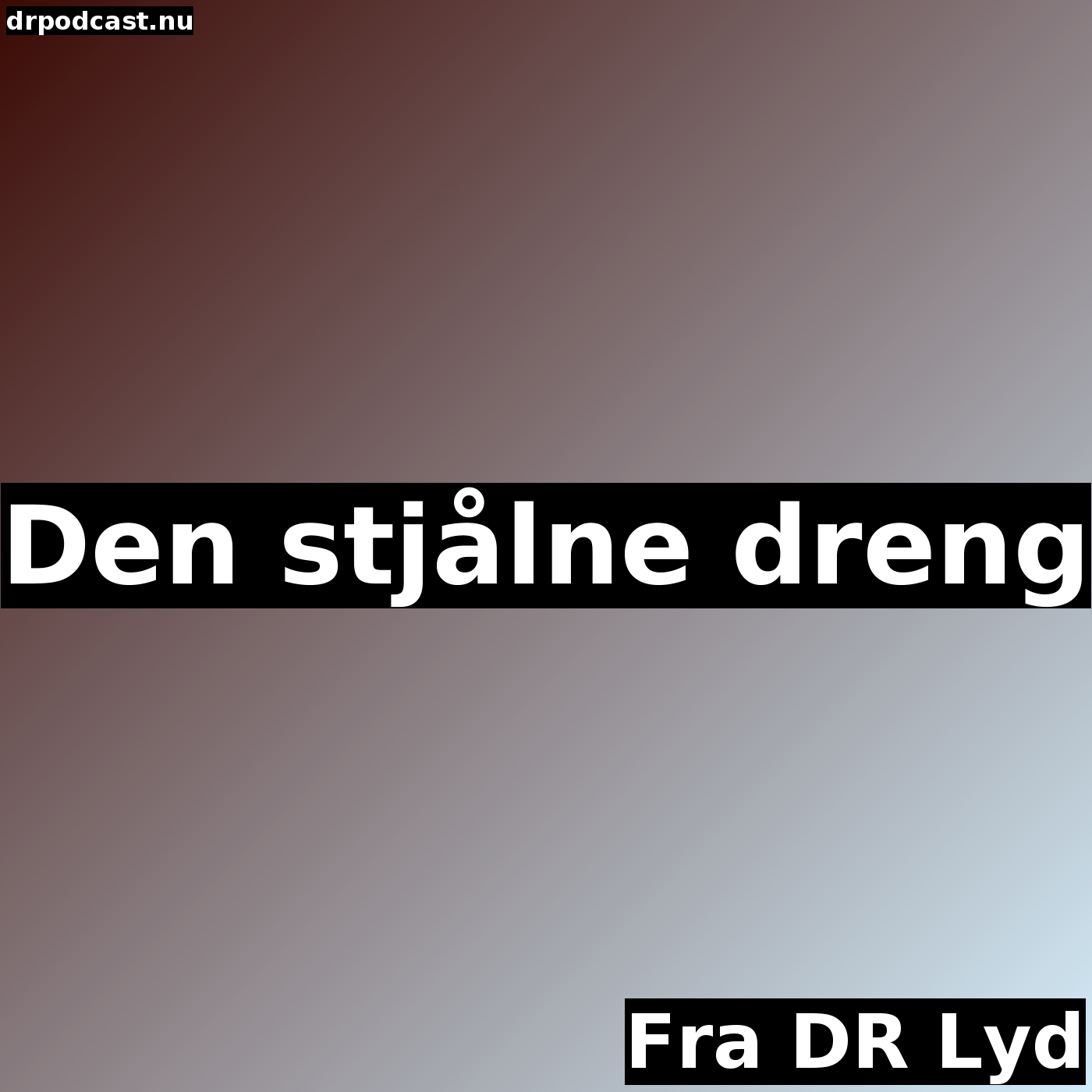 Den stjålne dreng