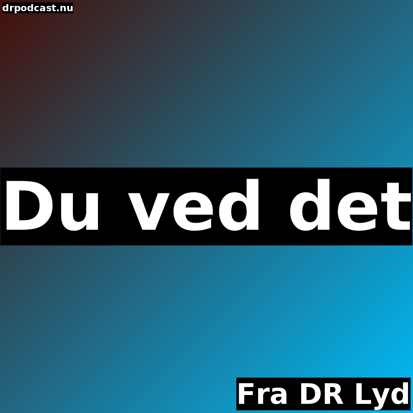 Du ved det