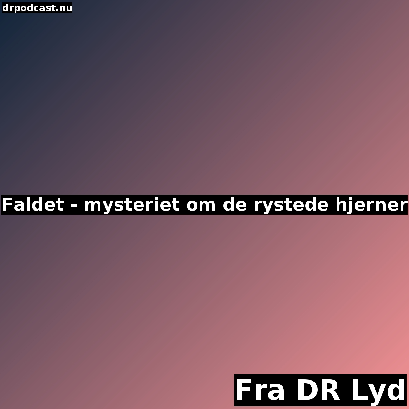 Faldet - mysteriet om de rystede hjerner