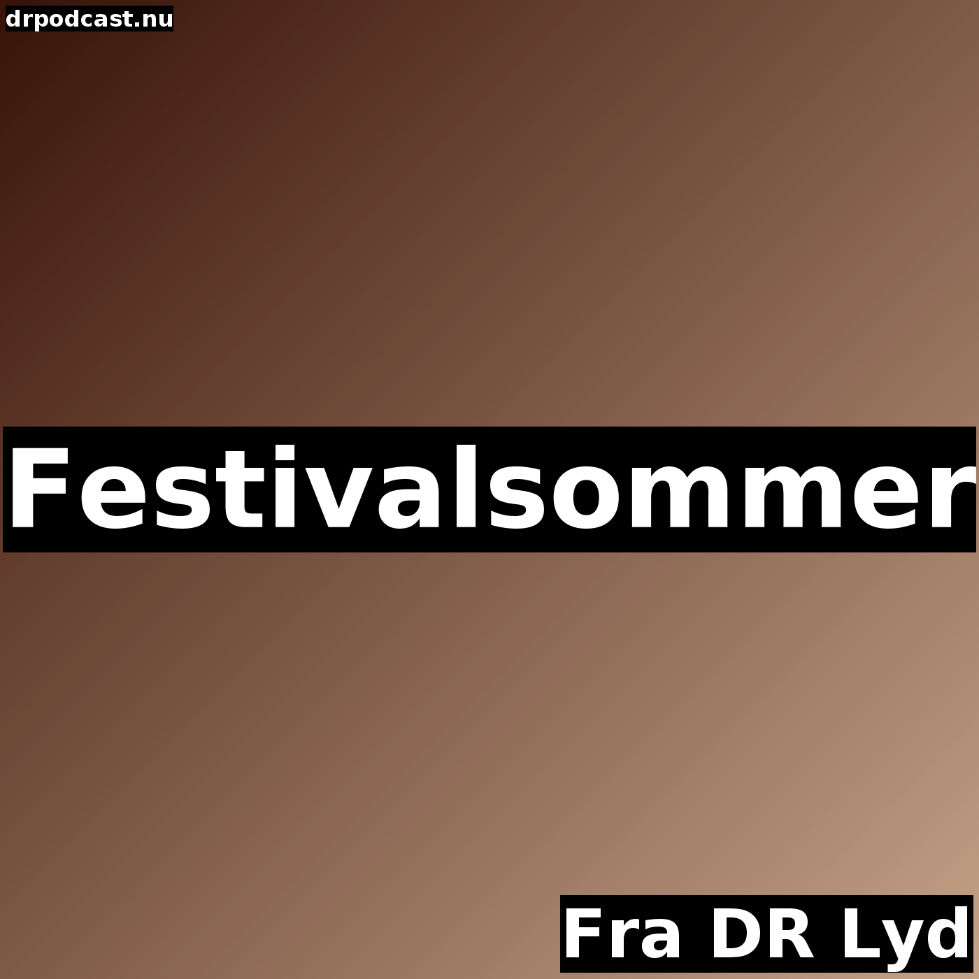 Festivalsommer
