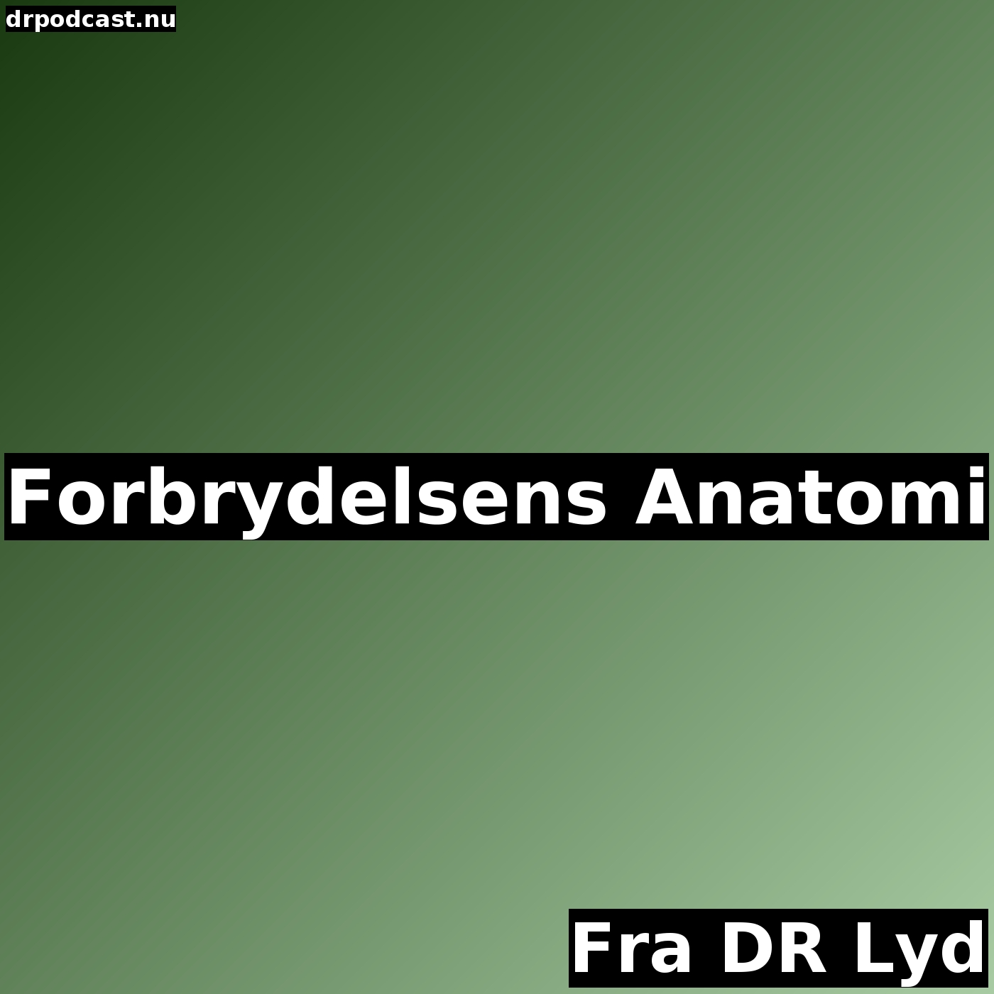 Forbrydelsens Anatomi