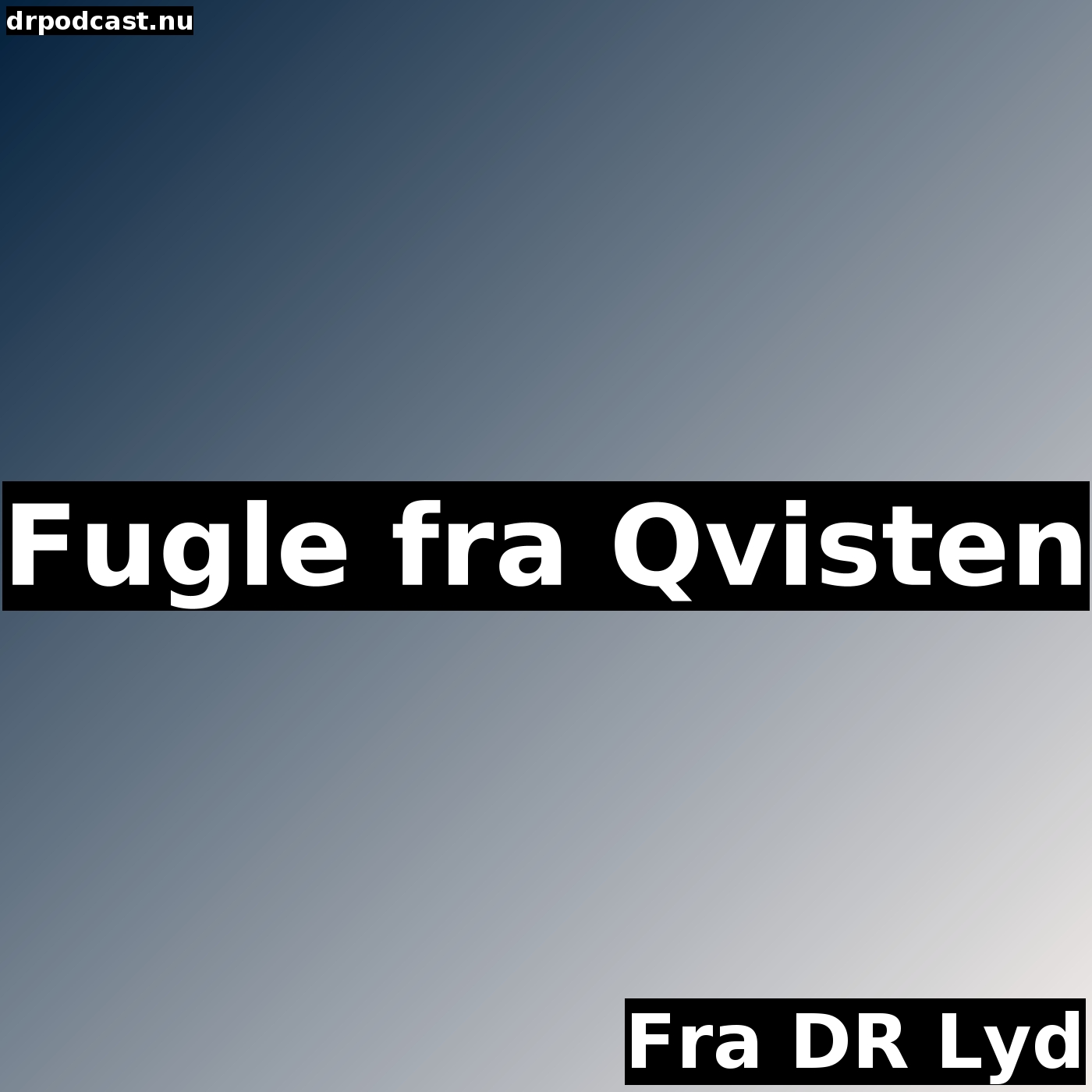 Fugle fra Qvisten