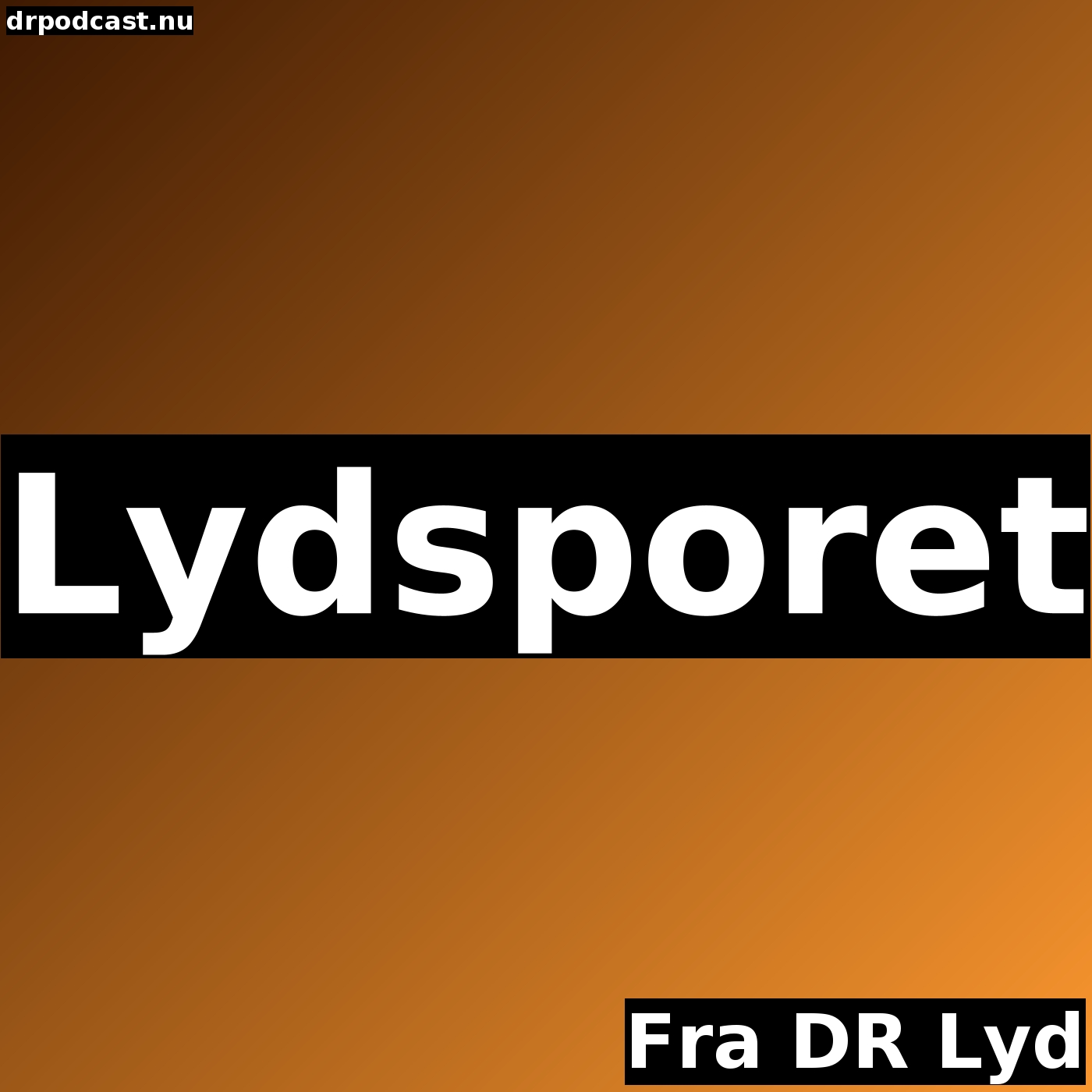 Lydsporet