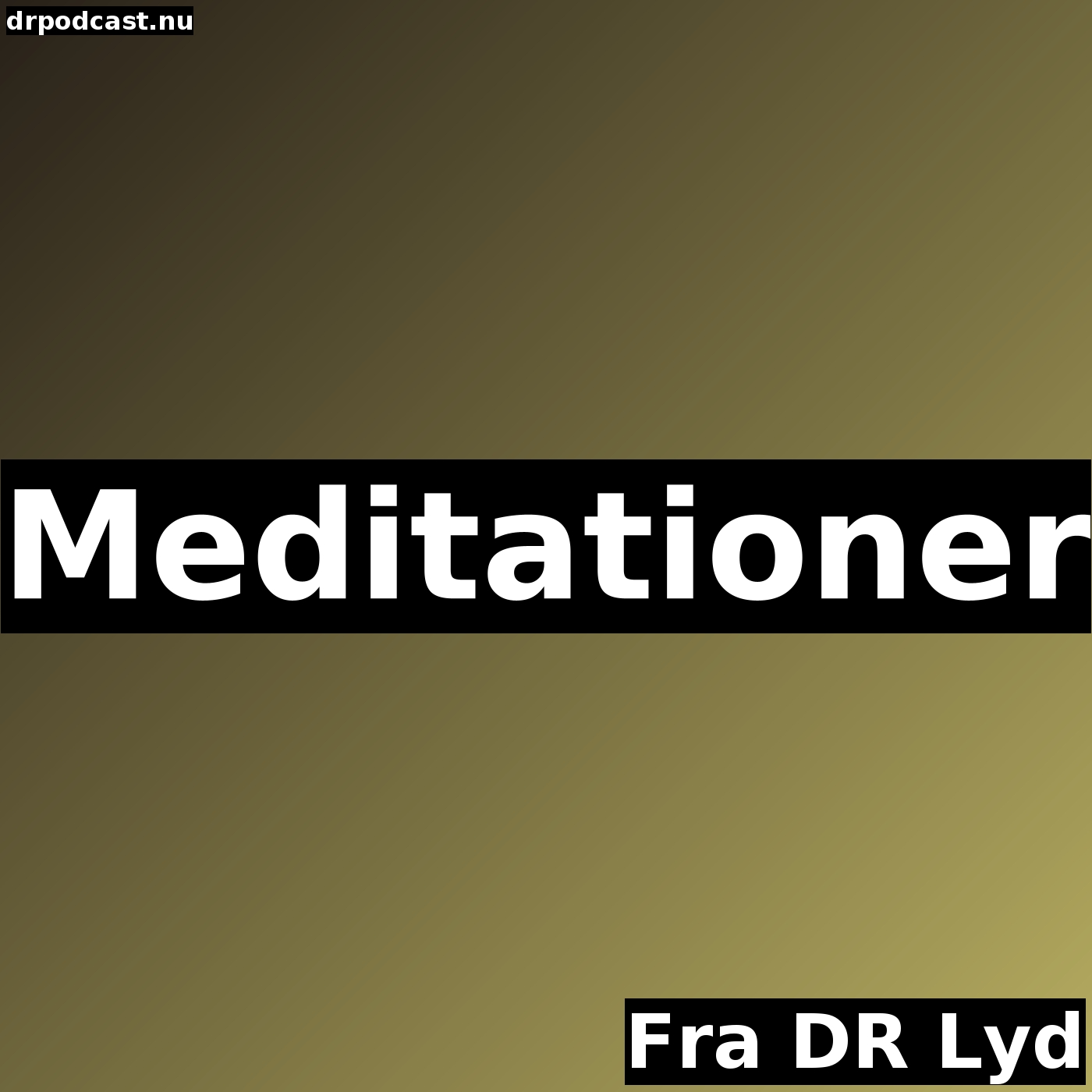 Meditationer