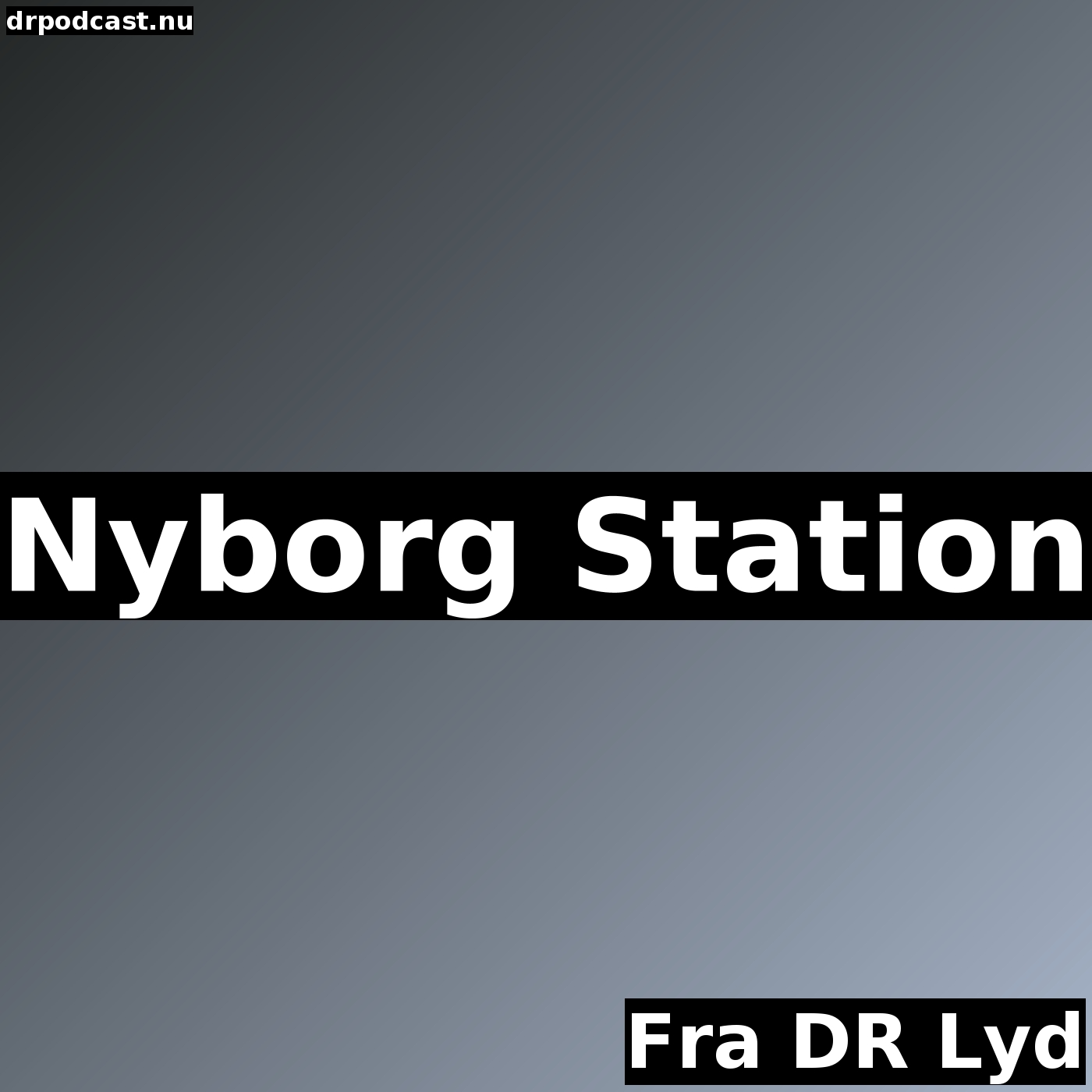 Nyborg Station