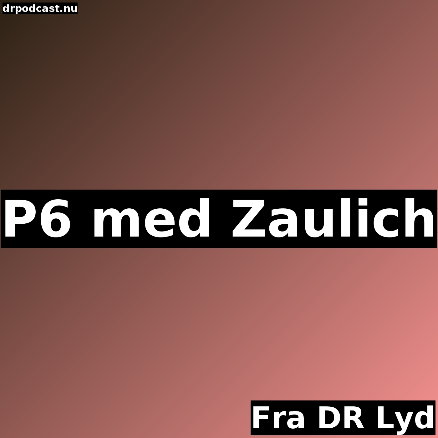 P6 med Zaulich