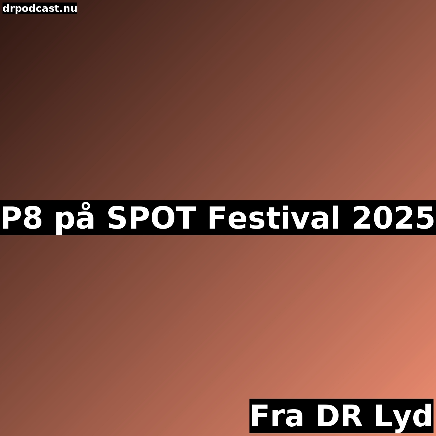 P8 på SPOT Festival 2025