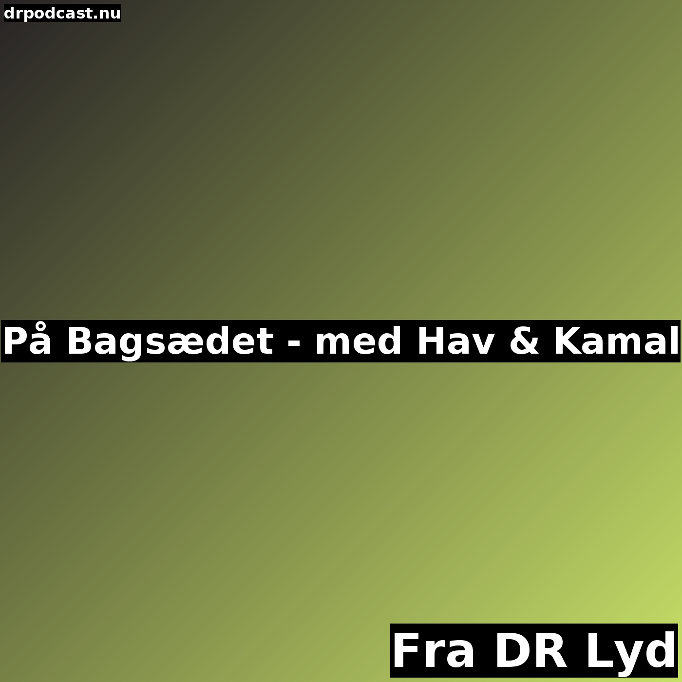 På Bagsædet - med Hav & Kamal