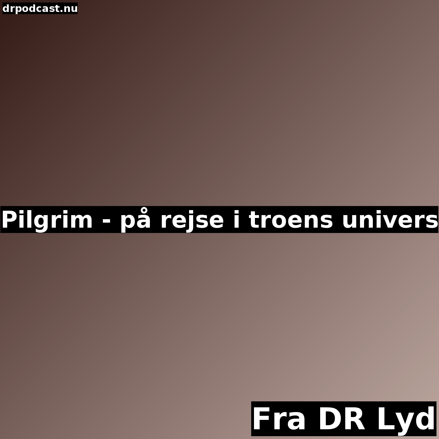 Pilgrim - på rejse i troens univers