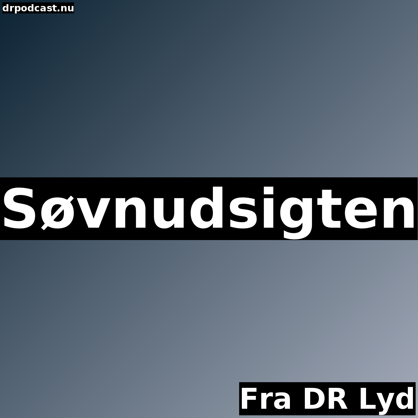 Søvnudsigten