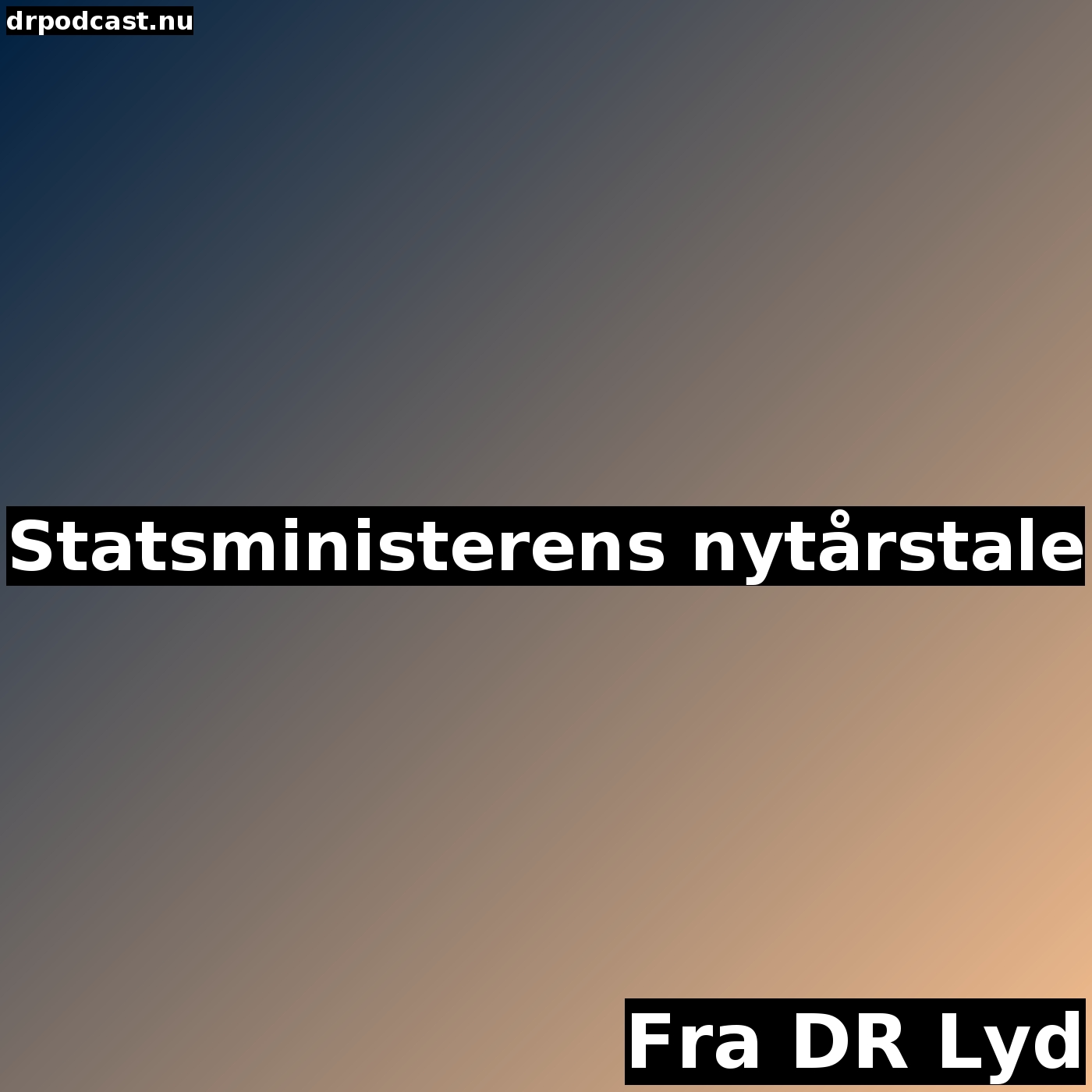 Statsministerens nytårstale