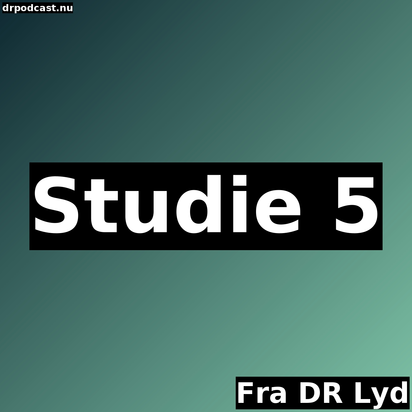 Studie 5