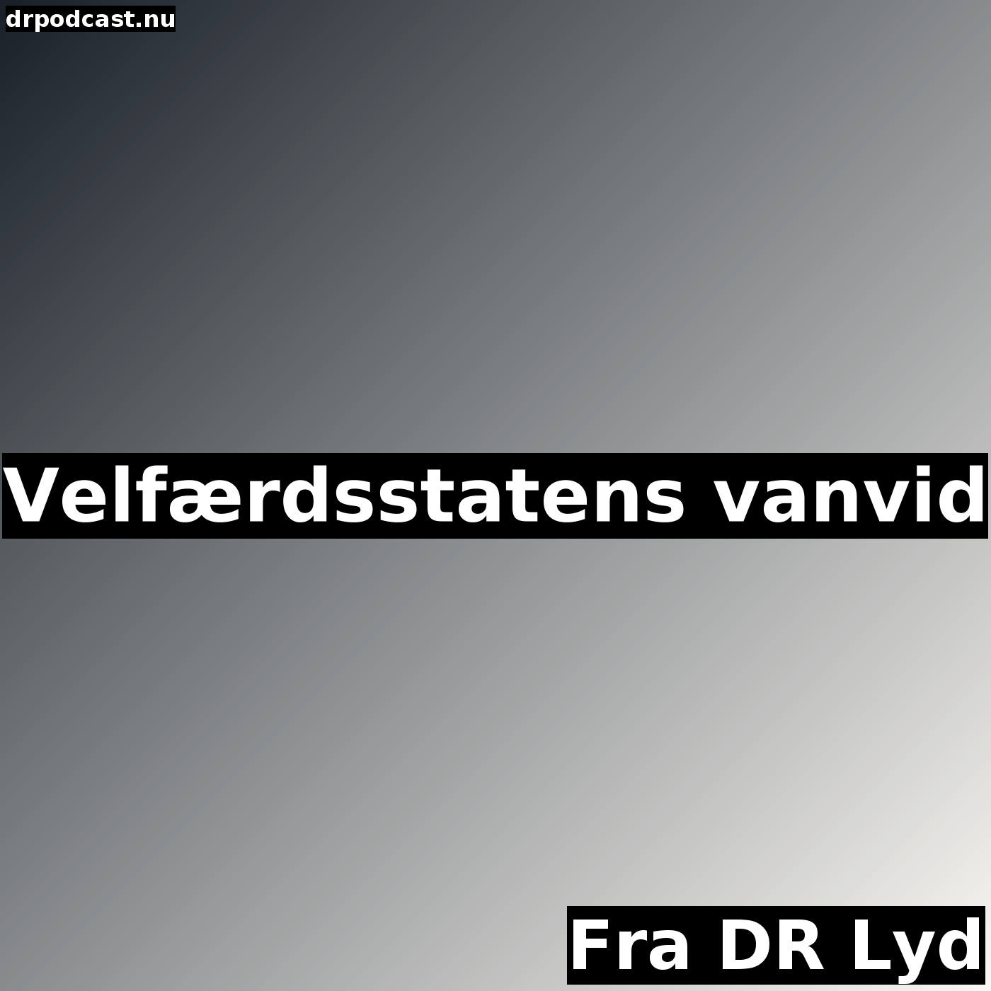 Velfærdsstatens vanvid
